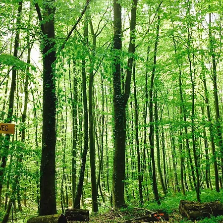 Schwarzwald Domizil Uhlsberg Apartamento *