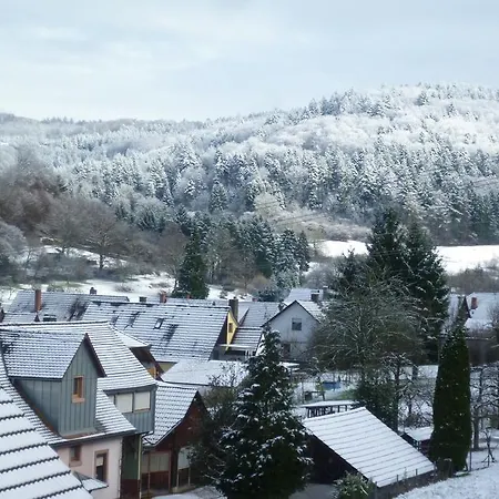 Schwarzwald Domizil Uhlsberg Apartamento *