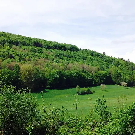 Schwarzwald Domizil Uhlsberg * Kippenheim