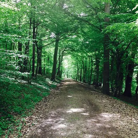 Schwarzwald Domizil Uhlsberg Apartamento