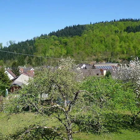 Schwarzwald Domizil Uhlsberg *